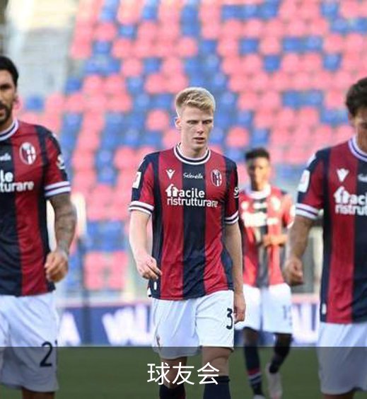 球友会简介